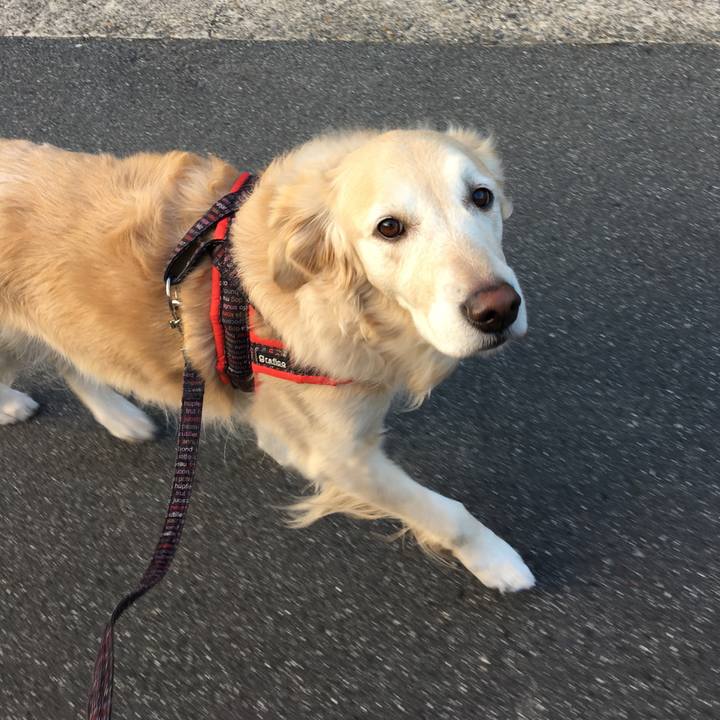 62ed2232 e900 4700 9896 b0b80f0b0b23 1547020404755