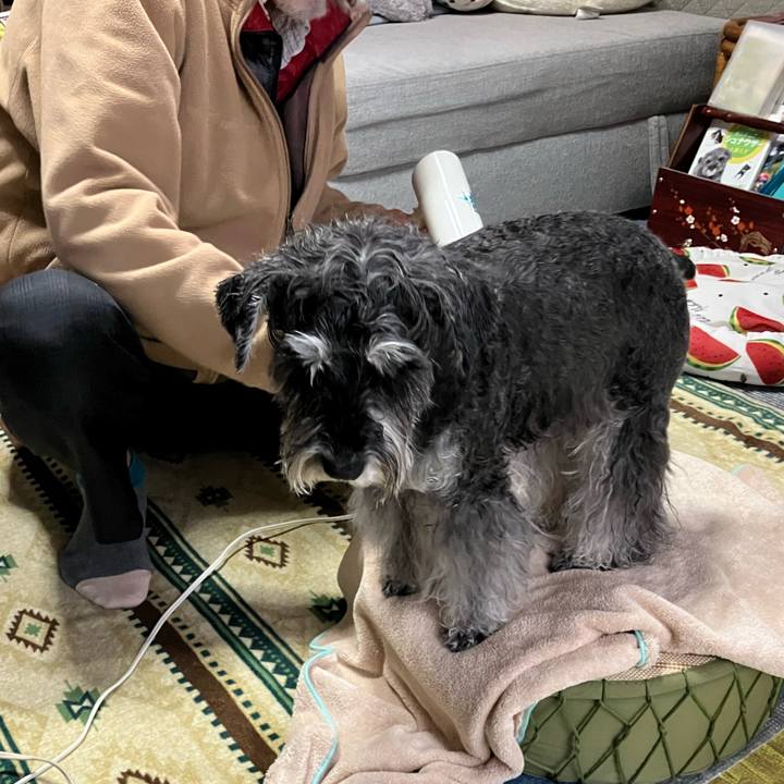 62ed272c c067 460e b867 4a1b5a67a174 1732976771458