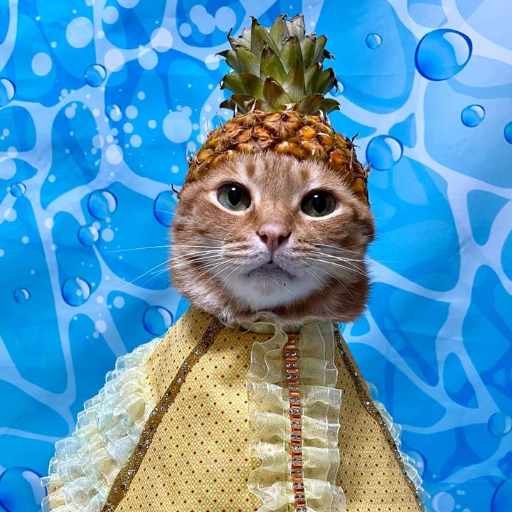 62ed2b2e 7fc5 4b12 a039 8a5540041166 1720650188850