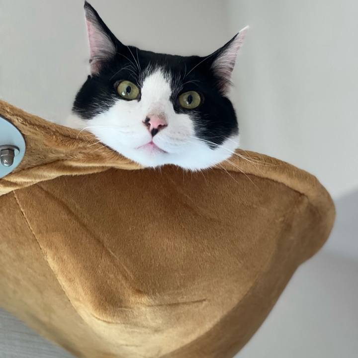 62ed3344 320f 443b a852 9946021058f9 1652510494454