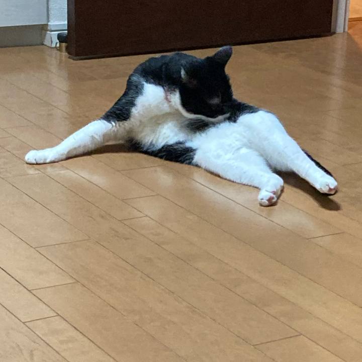 62ed3606 1286 4d9b 81ee 77d07cc11f30 1659431393792