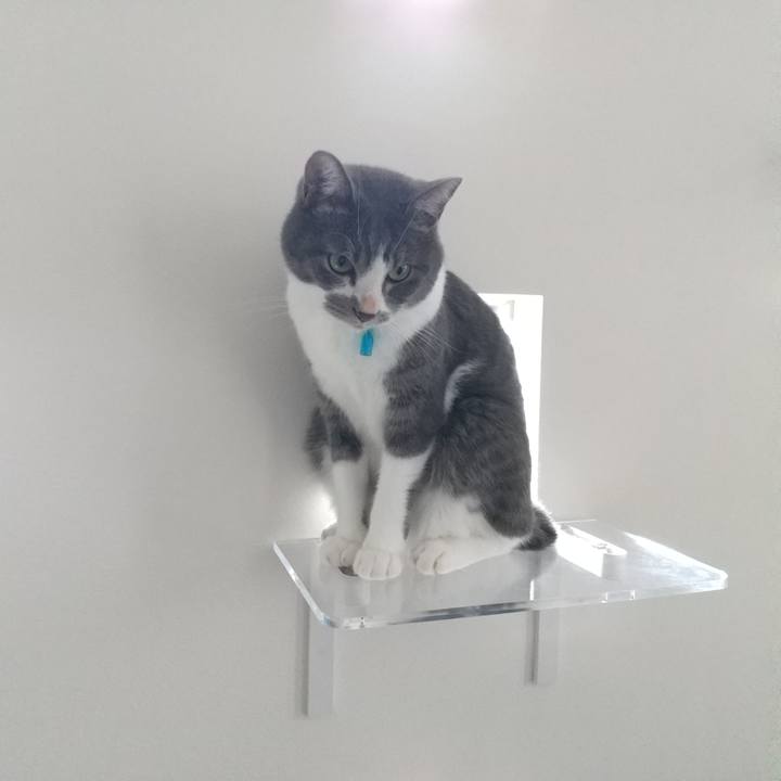 62ed4c04 d186 4ee0 83ff 4ea14b902adf 1629508418291