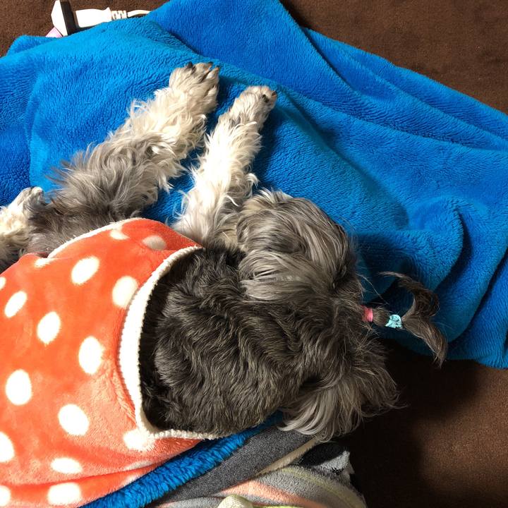 62eda4ca 15f3 43d1 889c c5b3a85f0b76 1520342771663