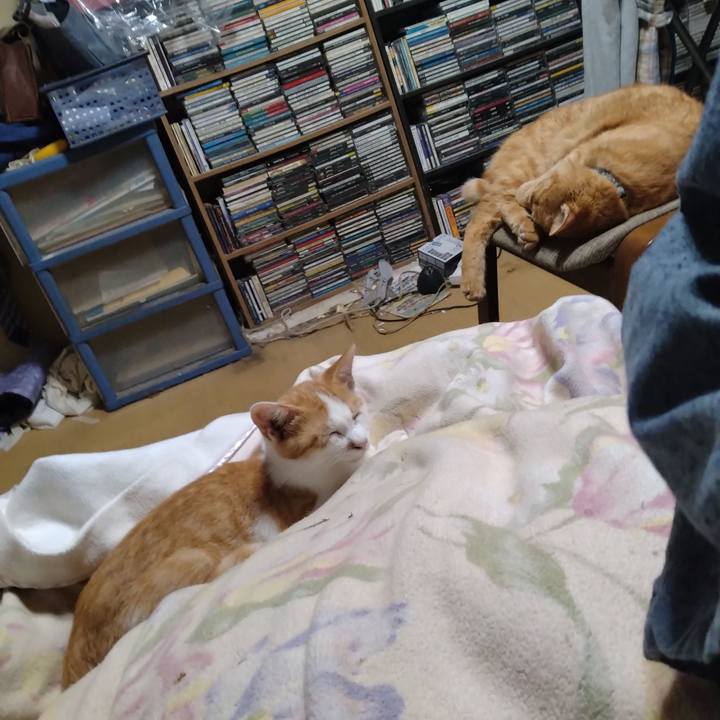 62eda7d8 3c6c 4aff 9508 4f64d1c45618 1729341164144