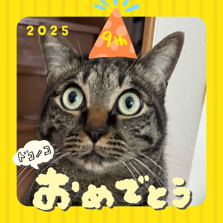 62edb360 317f 4367 94e6 9d69901658cf 1749122934254