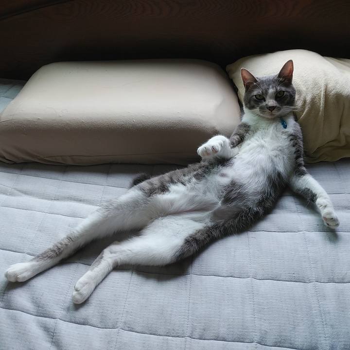 62edc59f 4c8a 430a 961c 4a9a018d37b2 1594252850575