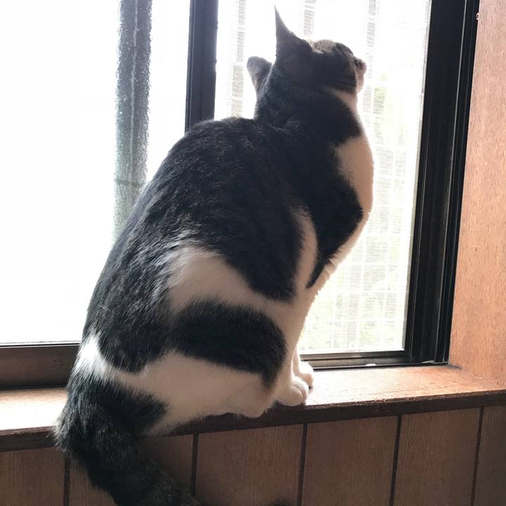 62edfd9f 1ea0 4c0f bfa7 959de6c088f0 1526779993324