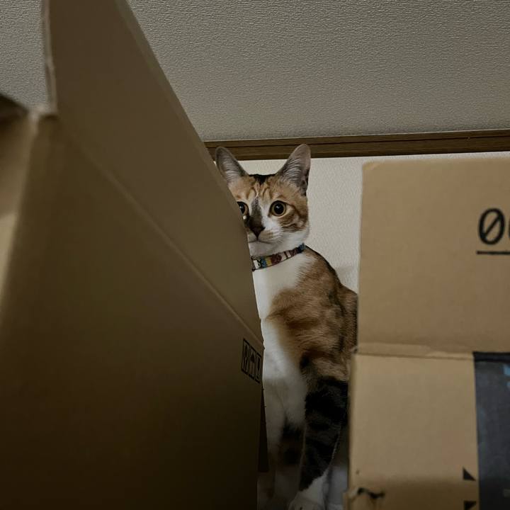 62ee0dc4 b1f1 4b51 a377 58175ea2e119 1674512861248