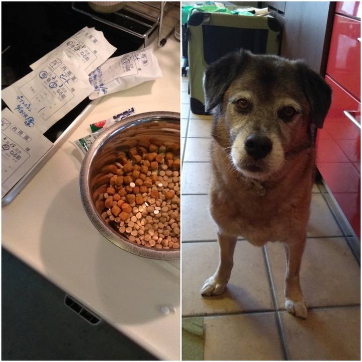 62ee12bb 939c 40ee 80fc cdfcdea3e74b 1561074047478