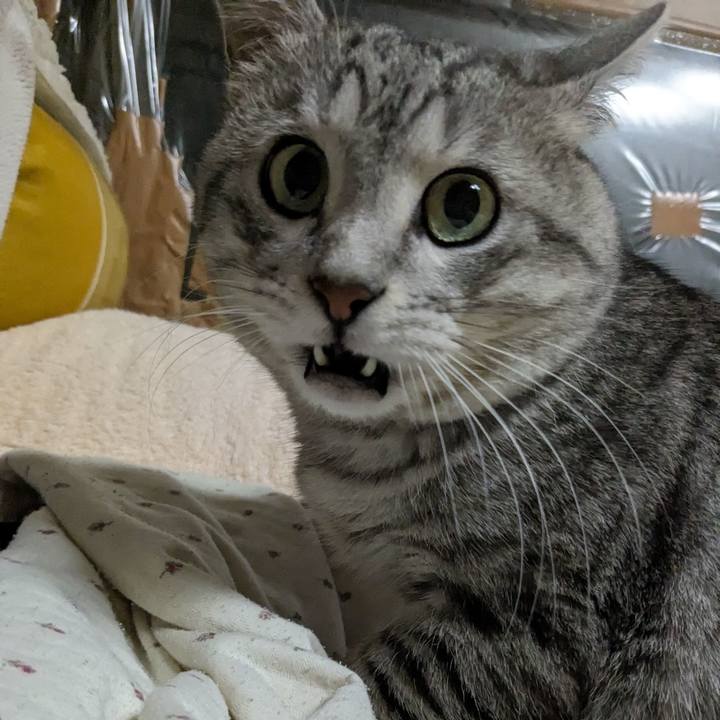 62ee5ee3 b80a 4790 a143 48ea60948278 1704980623910