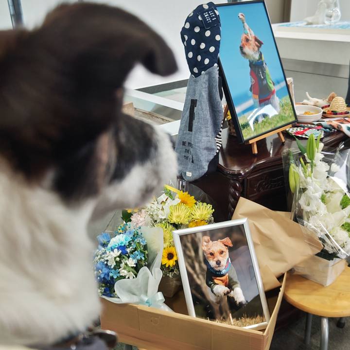 62eeaa3e 4c5d 4a88 8cb3 043ef029befd 1748772058022