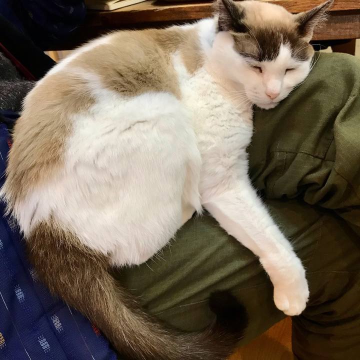 62eeccea a29d 4017 9864 09ab41545ddb 1612098465127