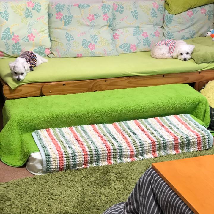 62eeefb8 a462 4d5e 8709 4580e4966d12 1522143048880