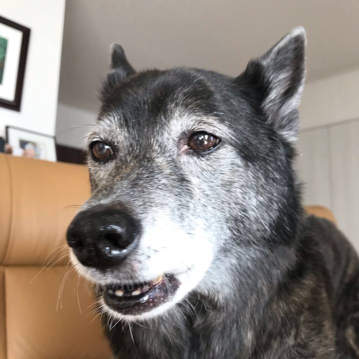 62ef2042 a980 4a48 9cac 7e29a15352c3 1648632185035