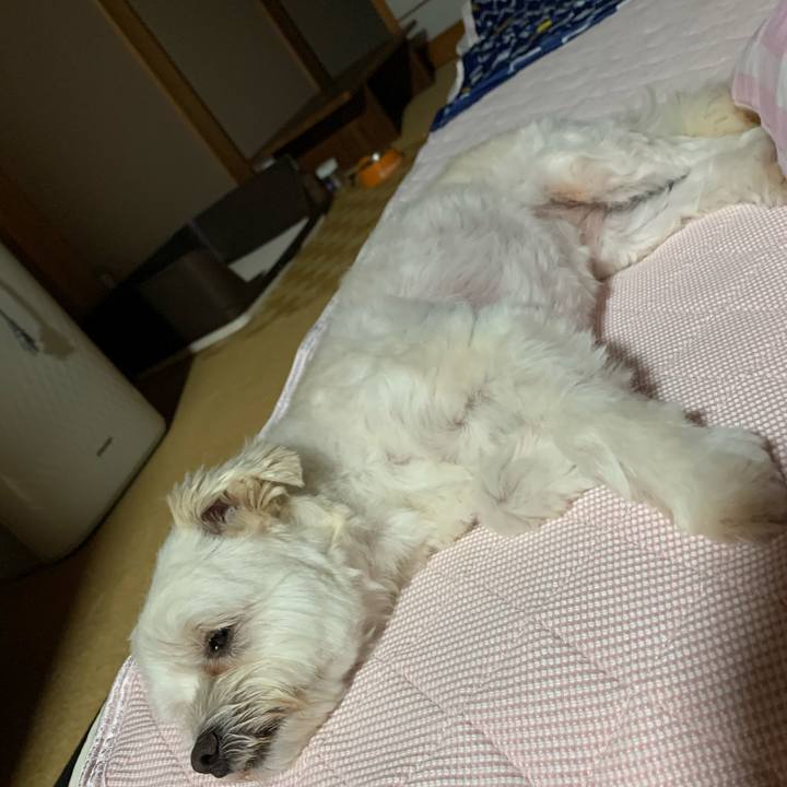 62ef3184 4c6f 484b 8b1a 033cf1c01fbf 1593427208210