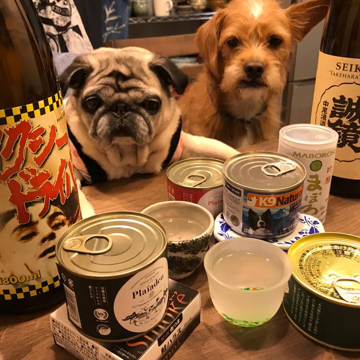 62ef5a3f 4fe1 4c27 afda 1dea6e302693 1575163447762