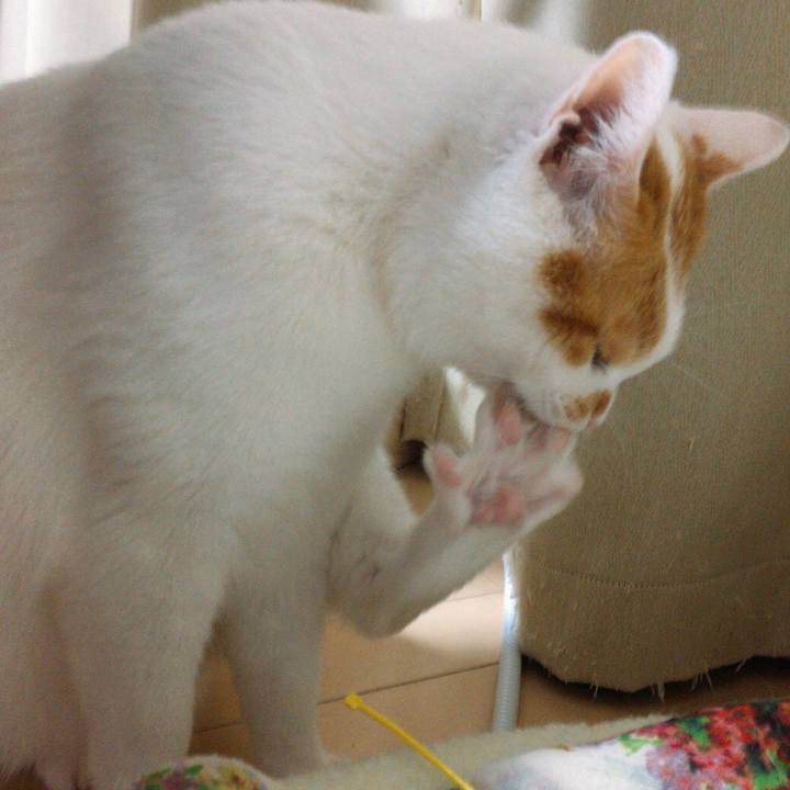 62ef8844 b562 4c4a 95f6 5fd2169b59aa 1515598883214