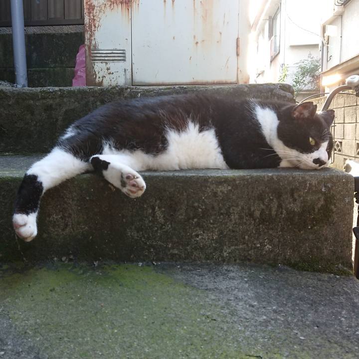 62efc8c3 0ee3 4f80 8e39 8d7beb62c78f 1596529235691