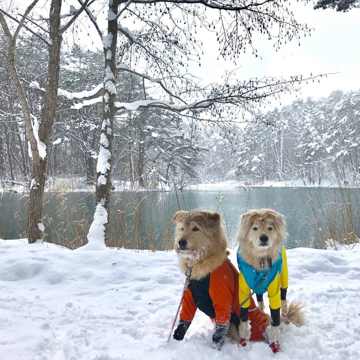 62efcaa0 aa91 440c 8741 9b3bef4c9bef 1609741030733