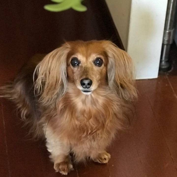 62efd7a5 a632 4932 aeb4 d50cce2b896e 1581605153285