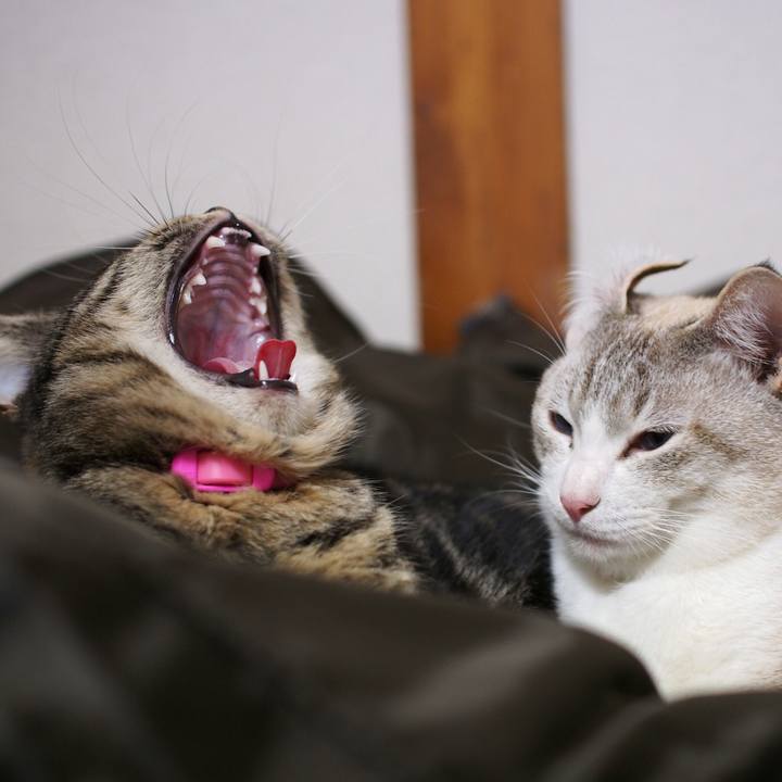 62efe24f e677 4586 807f 243137a469a4 1515898139073