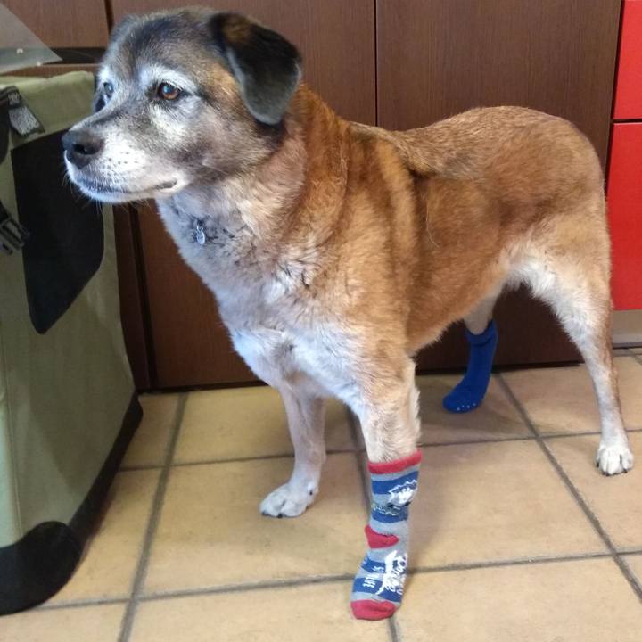 62f025de 1915 468e b8c6 f7ada63b857e 1563235708939