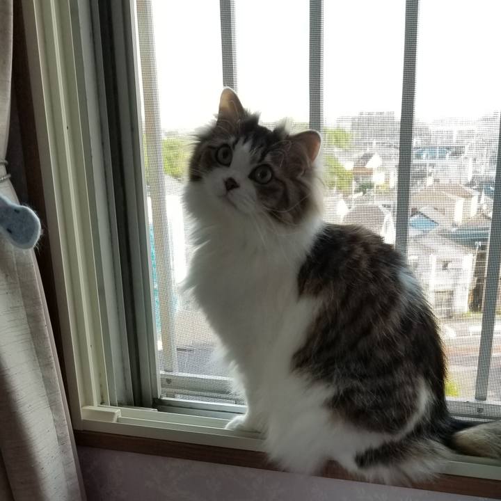 62f06d4a 6e40 4612 a814 ff4748cbf198 1558730607961