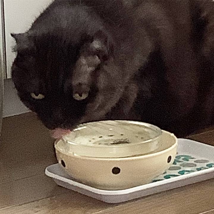 62f07561 29fb 4c4a 8134 4467fd4006d4 1569126829236