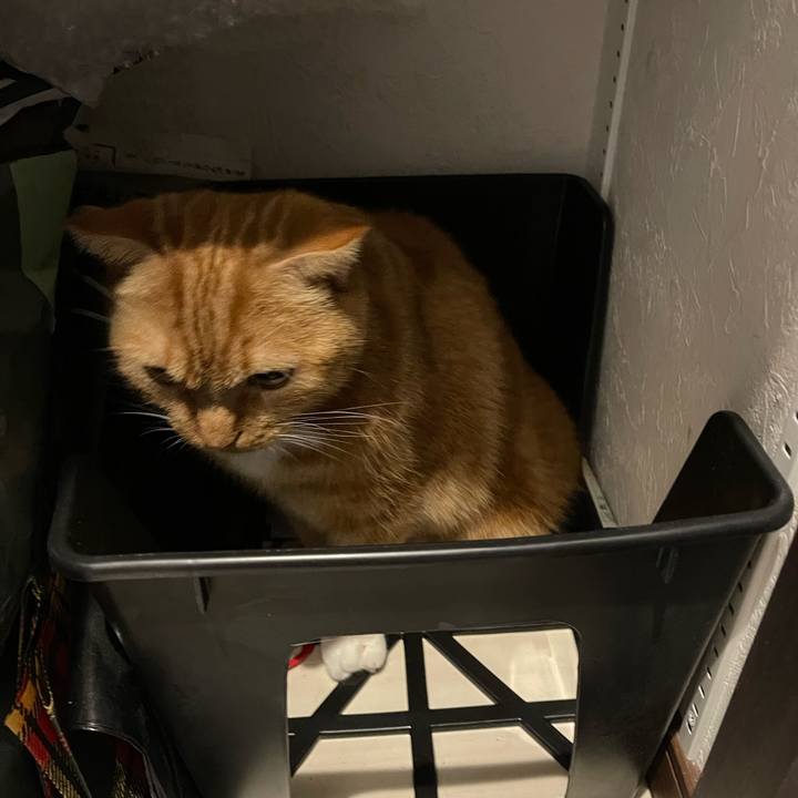 62f0880e 2c91 4d4b a6a4 00b15362a853 1662169372869