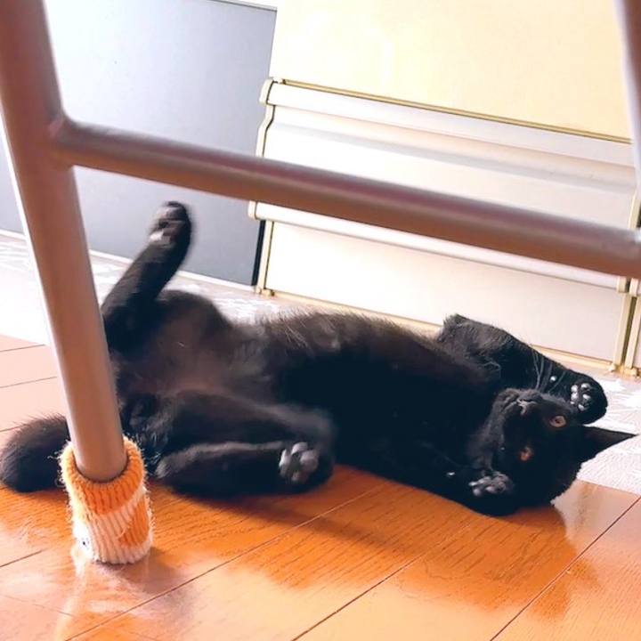 62f0a317 0fa5 4822 8c2f c36938a18dd9 1726445845626