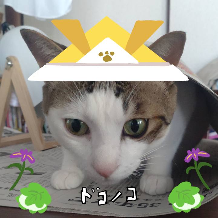 62f0ab56 ec35 4497 95bb a588c661831b 1714882528321