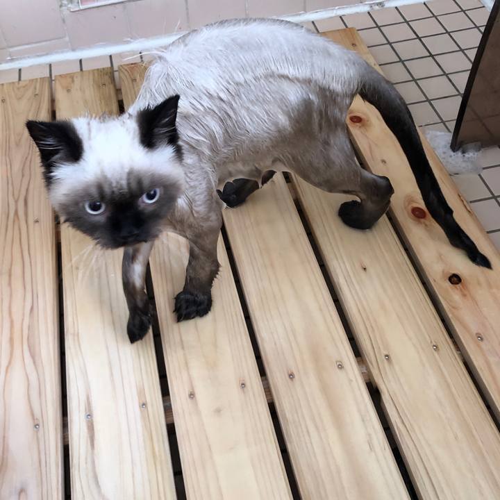 62f0d59f 4af8 4b8e abee 952ca697db29 1591695398343