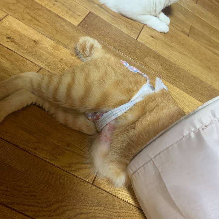 62f0d6c0 d51e 4e5c 9dfd 091222d9e987 1664373042238