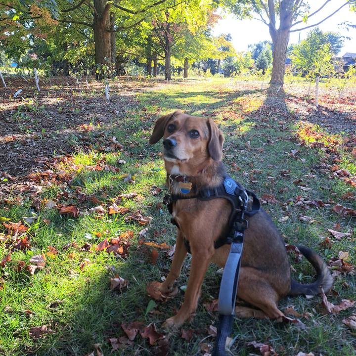 62f1231e fed9 4f0e be62 bd5148cf4594 1760058551737