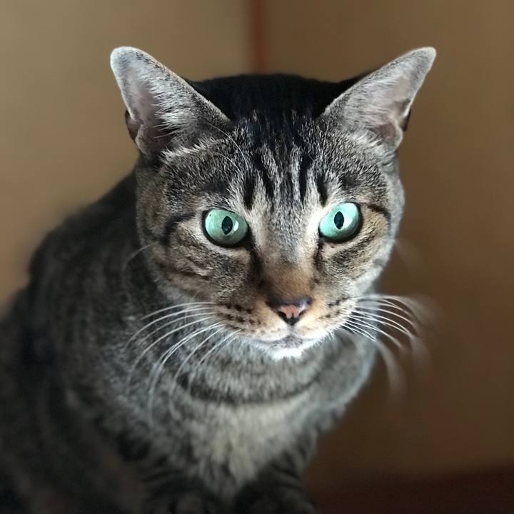 62f14cfe 8099 4b05 85b1 9ecec165fb93 1511226087560