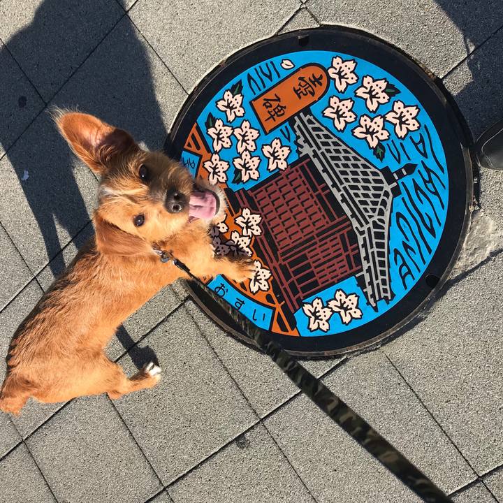 62f1573e 0ff6 4378 b1ac fcb2dd4a9deb 1528965205848