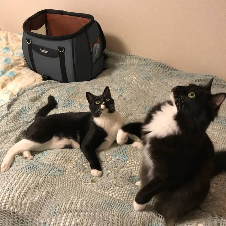 62f15e28 ca2b 4c81 8fb9 311d9cfad2a1 1527204585403