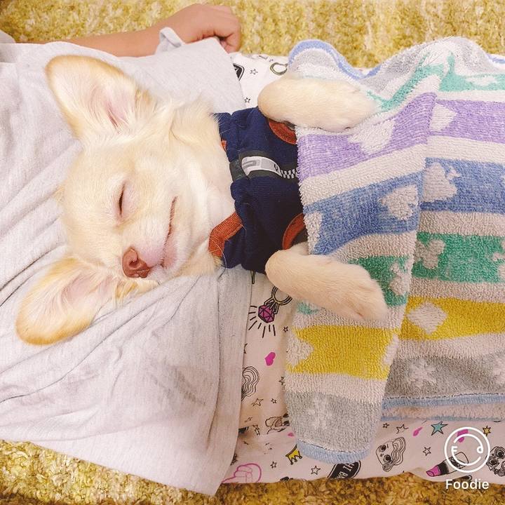 62f17dbc 0da9 435c bda5 0ecf3134b958 1598619235663