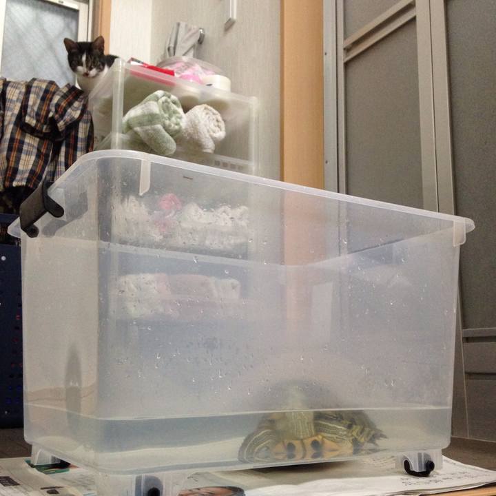 62f1b033 7f6b 4a6e 8438 41544d0468fb 1508642342452