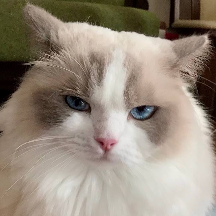 62f1c131 00bd 40b7 981e 4dab0f0f920c 1630208560166