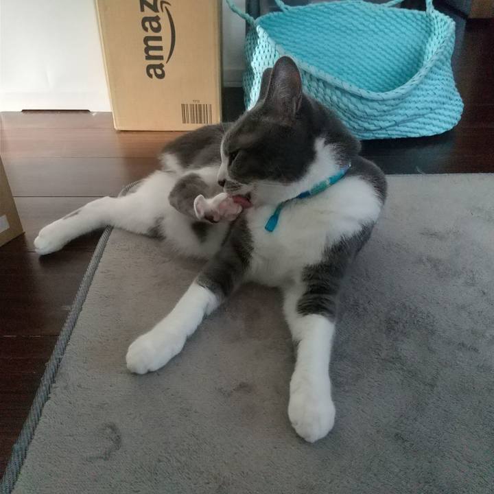 62f1ceda fff3 464b 8714 2ecf55b6b6d8 1650700702886