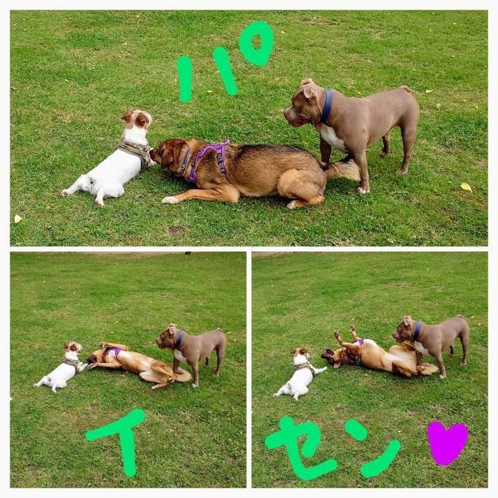 62f1da4b e2df 45d3 bd06 1118f4e8a621 1749464093527