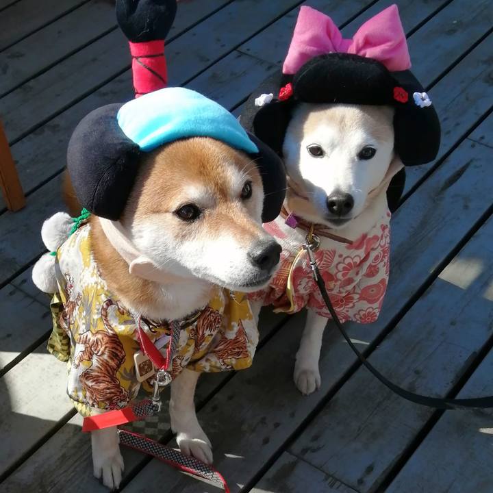 62f1f880 6adc 4051 8517 01007224e5e8 1675738967460