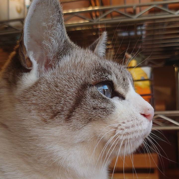 62f1fc29 6a70 405c b2c7 4511e1da3c5b 1641084952851