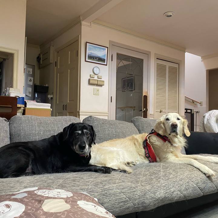 62f20afc b46e 4188 b454 9507d14dd99d 1708502119502