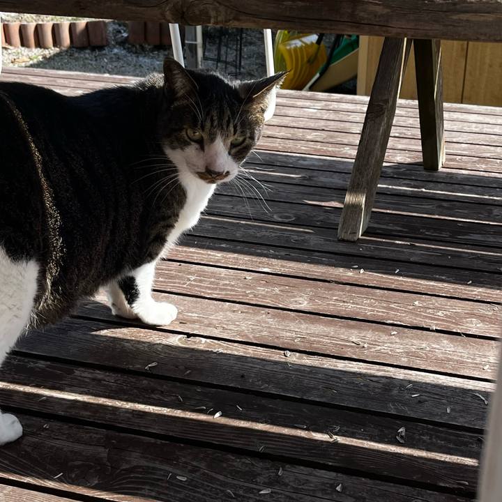 62f24c5f afa3 46d1 8b5d 03a1f1537a94 1713215198690