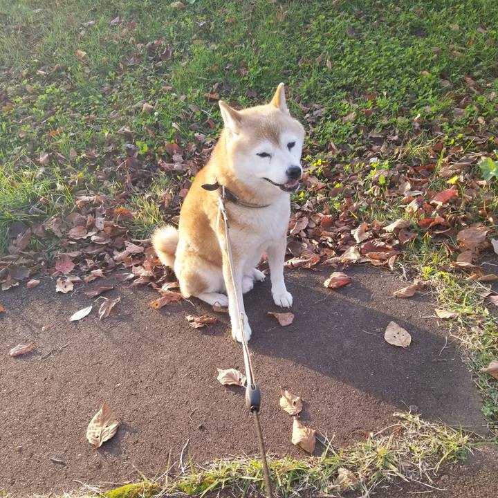 62f260b6 7680 4f8d a33d 4bc297e8b449 1698907030874