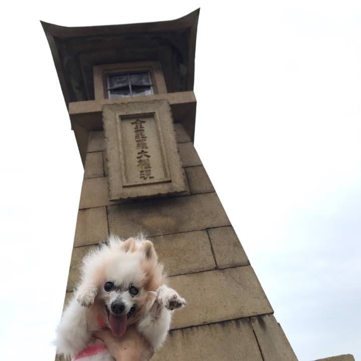 62f27cf3 6584 413f a156 37dc9a41d2cc 1542384572960