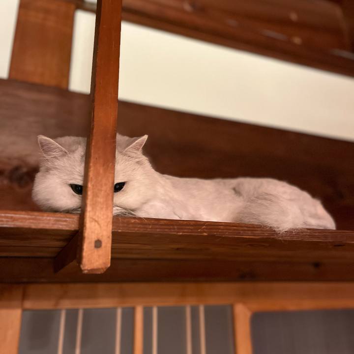 62f29151 fe7f 44e5 a071 e73251887f4a 1693356497392