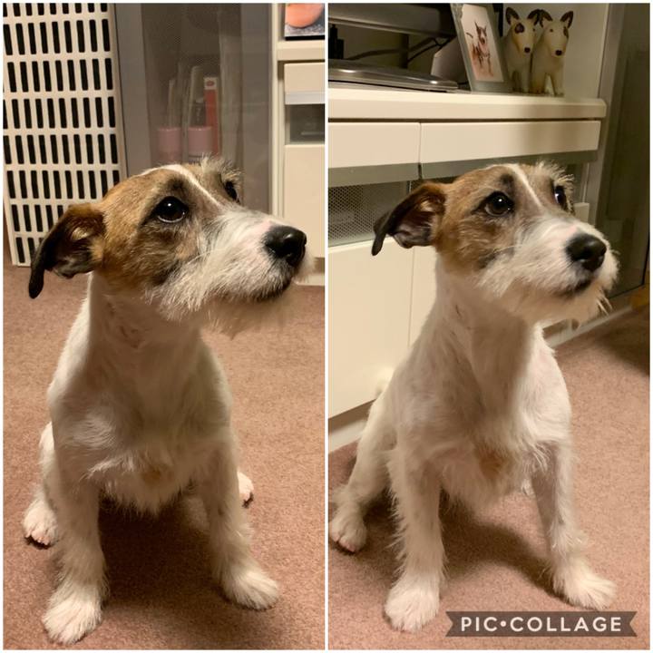 62f2ba9f 2494 49e9 b12a dde13e58519c 1581336419014